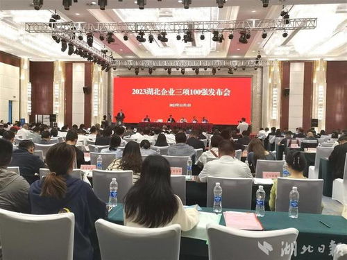 卓爾控股領航湖北服務業百強榜 企業管理咨詢視角下的卓越之道